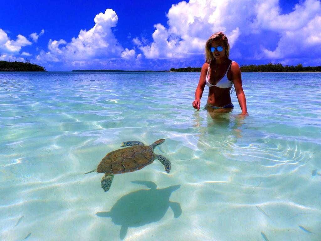 Bluff House Beach Resort & Marina Green Turtle Cay 外观 照片